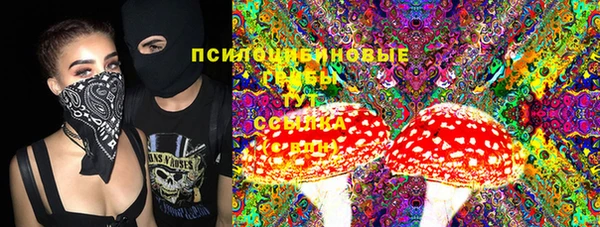 гашик Алексеевка